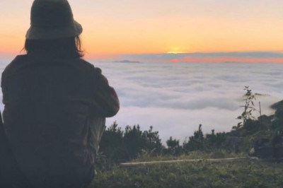 Những quán cafe săn mây gần trung tâm Đà Lạt cho hội lười di chuyển