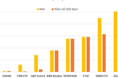 Top 10 quỹ ETF có lợi nhuận dài hạn tốt nhất Việt Nam