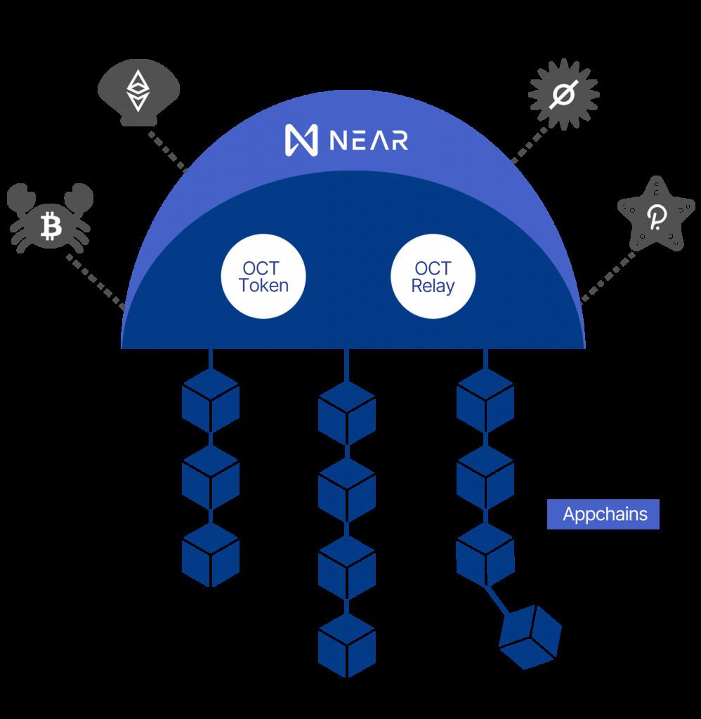 Octopus Network là gì?
